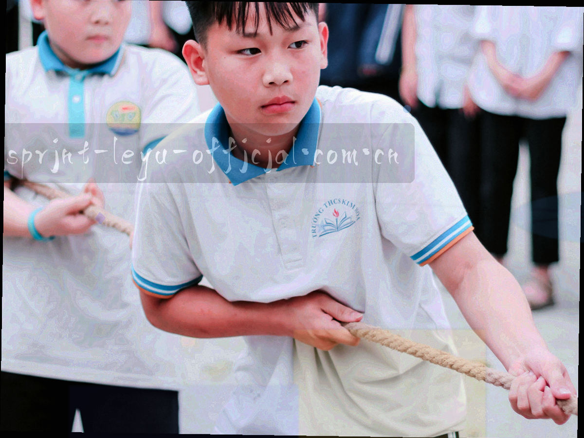球队资料卡与字段标签构成的抽象档案图形